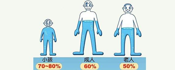 人的身体里有多少水分啊