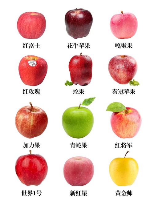 苹果怎样识别花草
