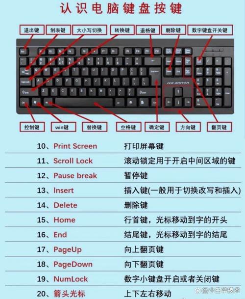 电脑键盘上每个键都有什么作用