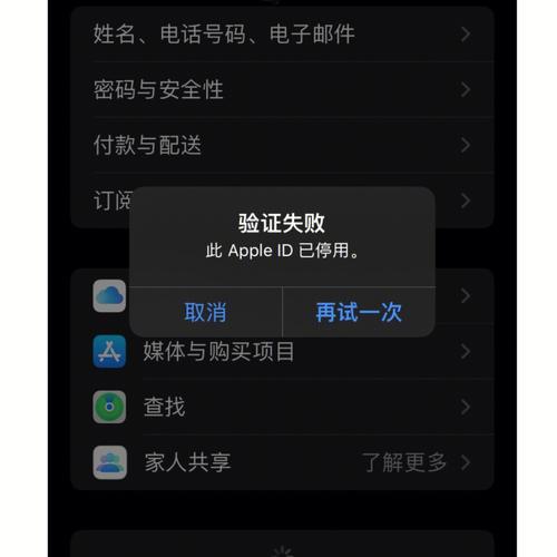 iphone 已停用该怎么办