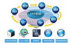 erp系统和erp软件的区别是什么（erp系统是哪类软件）